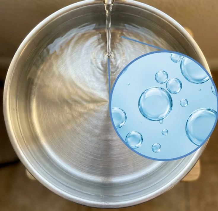 Eau cristalline filtrée par Zevlo Dog Pure